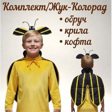 Карнавальний костюм Жука Колорадського