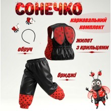 Карнавальний комплект Сонечко/ з крильцями/ атлас