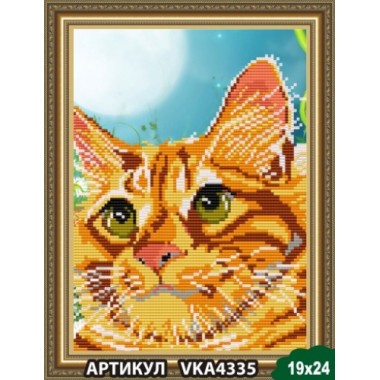 VKA4335 Рудий кіт