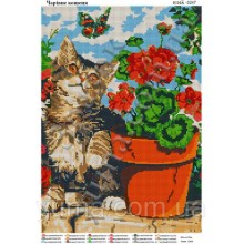 Юма - 3247 "Чарівний котик" Юма - 3247 "Чарівний котик"