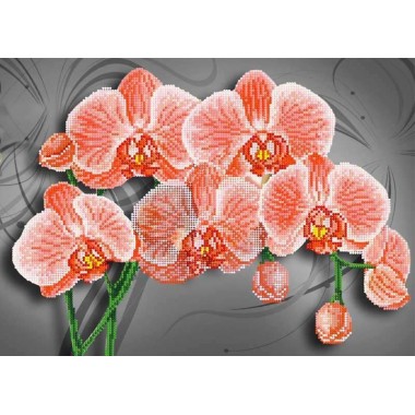 F-290 "Orchids" - TM SvitArt